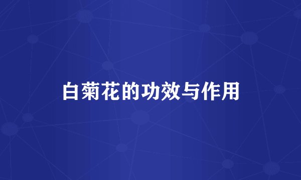 白菊花的功效与作用