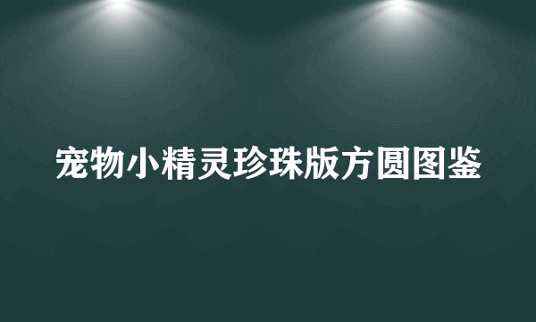 宠物小精灵珍珠版方圆图鉴