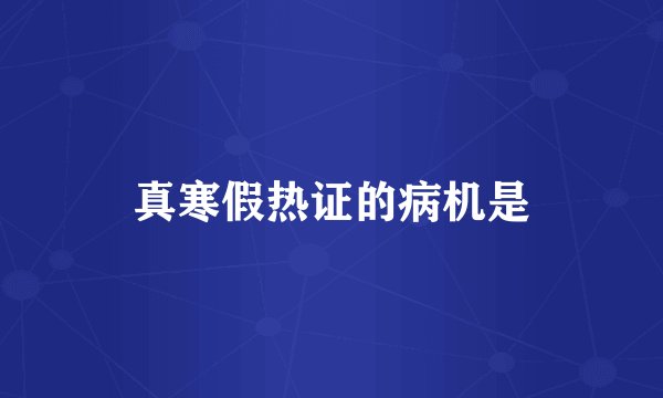 真寒假热证的病机是