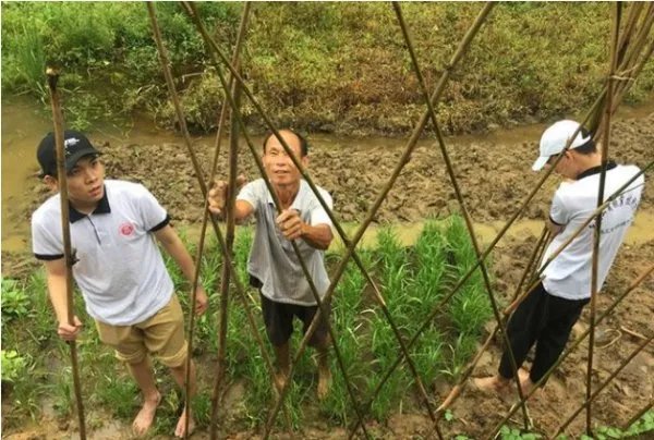 建议鼓励大中小学开设学农实践，对学生有哪些利处？