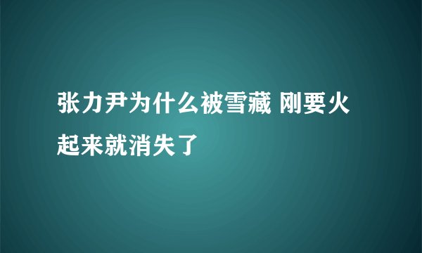 张力尹为什么被雪藏 刚要火起来就消失了