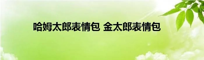 哈姆太郎表情包 金太郎表情包