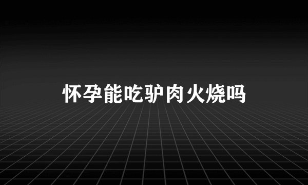怀孕能吃驴肉火烧吗