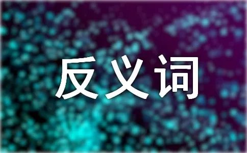 清楚的反义词是什么