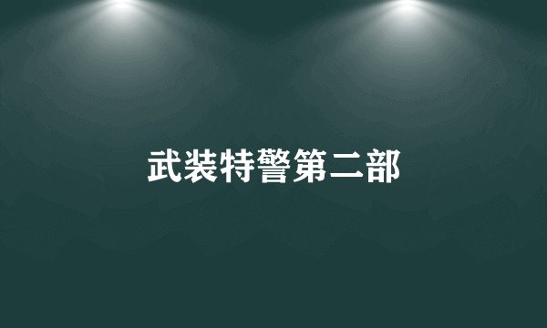 武装特警第二部