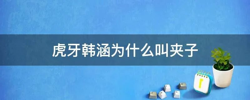 虎牙韩涵为什么叫夹子