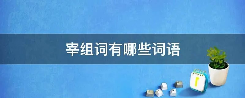 宰组词有哪些词语