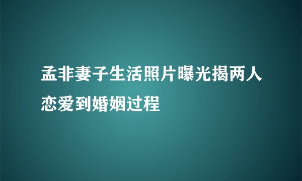 孟非妻子生活照片曝光揭两人恋爱到婚姻过程