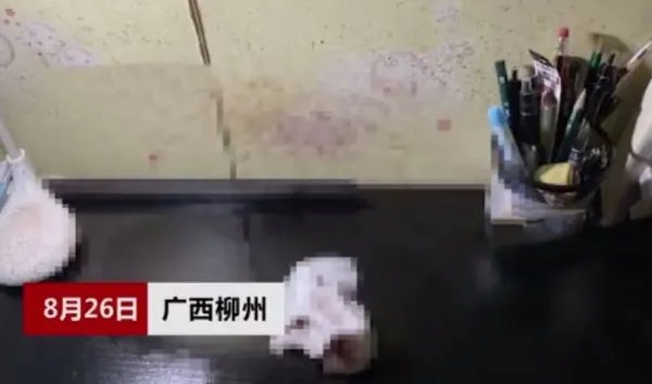 柳州一出租房内天花板滴血，到底是什么原因
