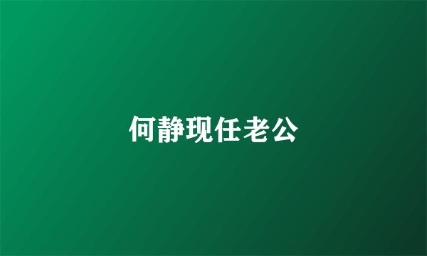何静现任老公