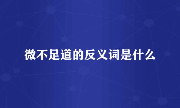 微不足道的反义词是什么