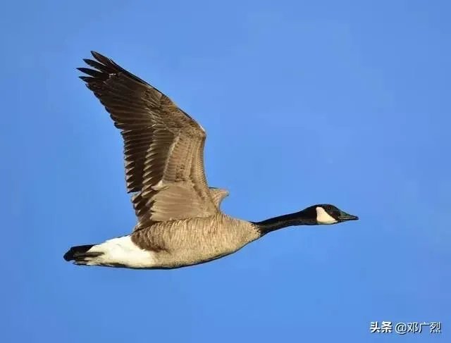 找老婆应该找个什么样的?