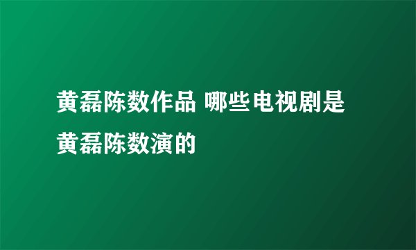 黄磊陈数作品 哪些电视剧是黄磊陈数演的