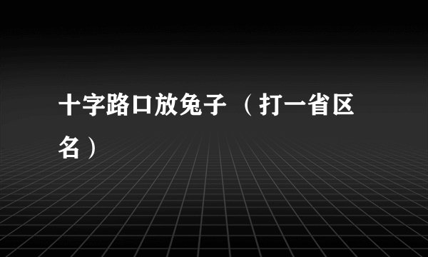 十字路口放兔子 （打一省区名）