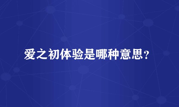 爱之初体验是哪种意思？