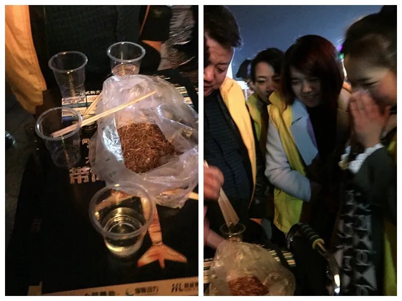 被罚当众吃活虫 只因员工业绩没完成