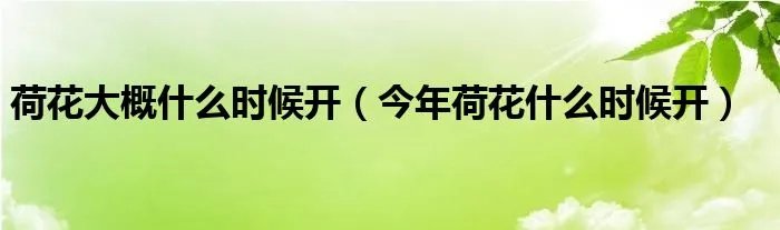 荷花大概什么时候开（今年荷花什么时候开）