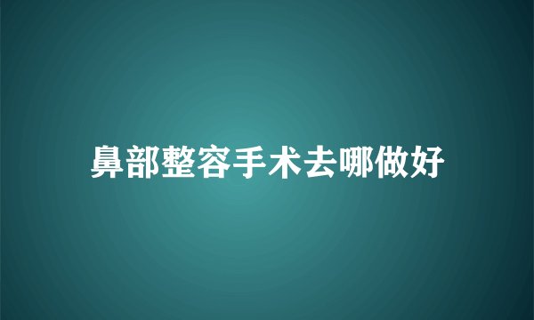 鼻部整容手术去哪做好