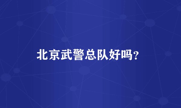 北京武警总队好吗？