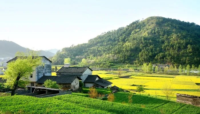 美不胜收中胜的意思