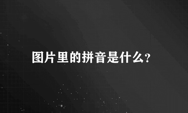 图片里的拼音是什么?