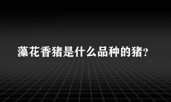 藻花香猪是什么品种的猪？
