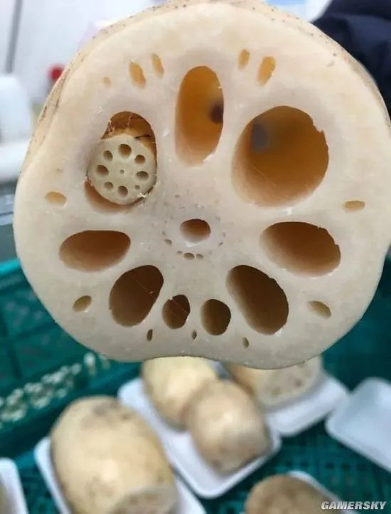 这组图可以测试 你是不是真的有密集恐惧症