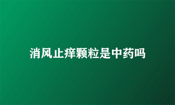 消风止痒颗粒是中药吗