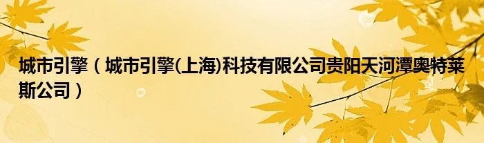 城市引擎(城市引擎(上海)科技有限公司贵阳天河潭奥特莱斯公司)