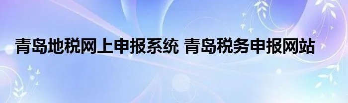 青岛地税网上申报系统 青岛税务申报网站