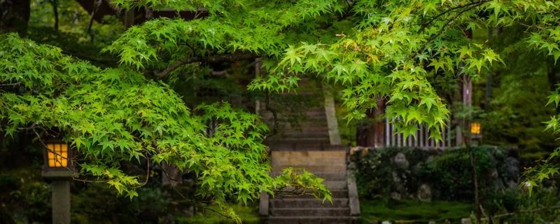 六月初六是仙家的什么节日 仙家的节日还有哪天