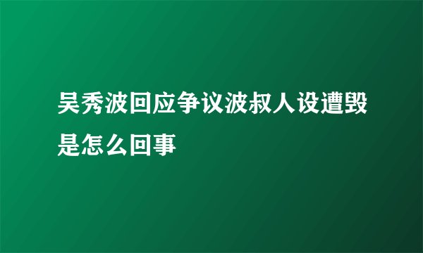 吴秀波回应争议波叔人设遭毁是怎么回事