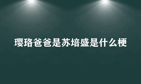 璎珞爸爸是苏培盛是什么梗