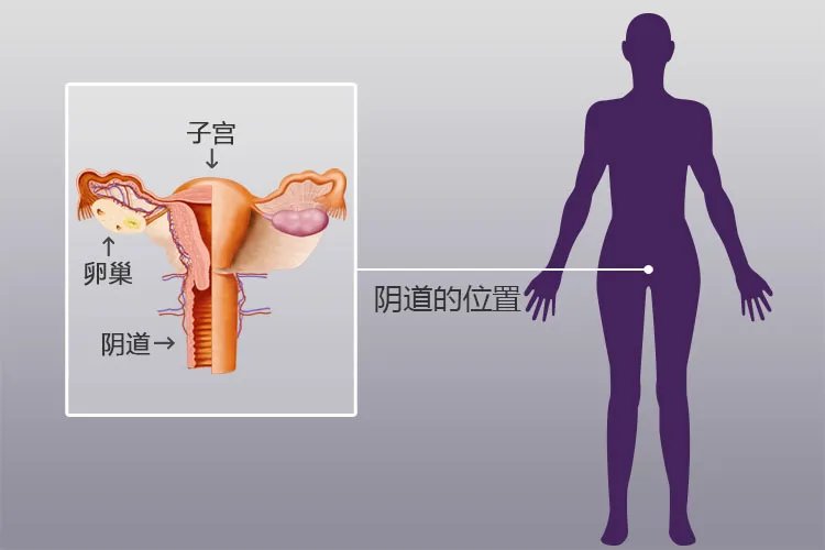 女人生孩子从哪个部位生下来
