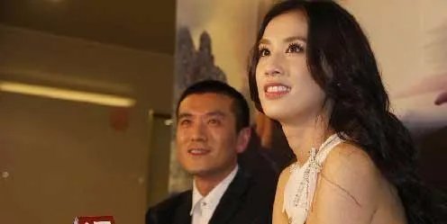 杨子为什么要打黄圣依家暴真相 被家暴还愿意生下两个儿子你信吗