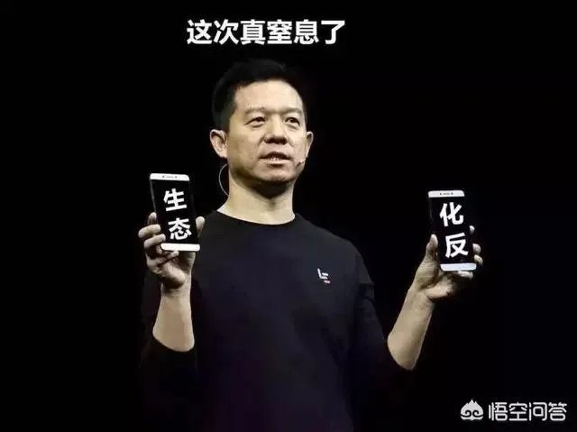 如何看待王思聪向乐视索赔一事?