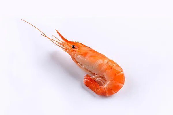 虾的营养价值及功效