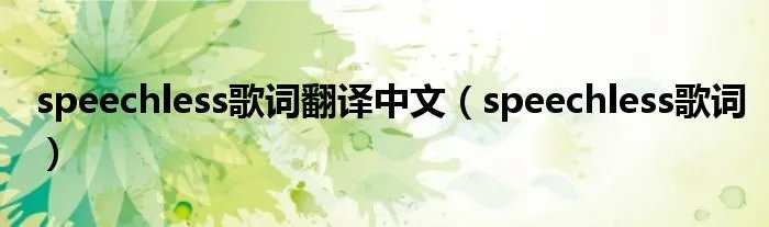 speechless歌词翻译中文（speechless歌词）