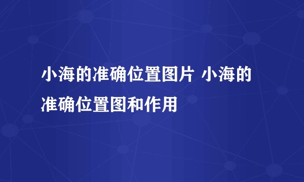小海的准确位置图片 小海的准确位置图和作用