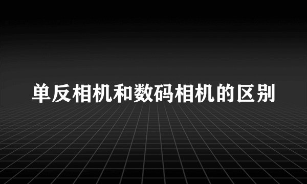 单反相机和数码相机的区别