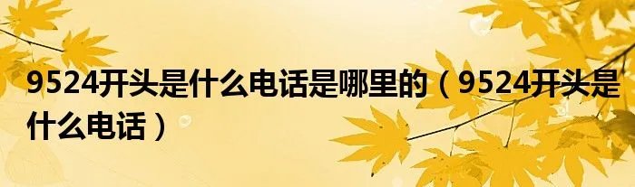 9524开头是什么电话是哪里的（9524开头是什么电话）