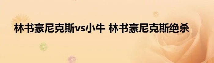 林书豪尼克斯vs小牛 林书豪尼克斯绝杀