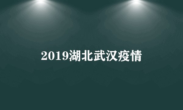 2019湖北武汉疫情