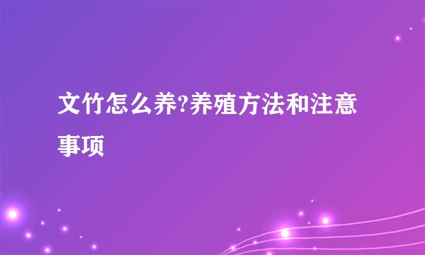 文竹怎么养?养殖方法和注意事项