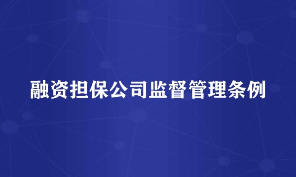 融资担保公司监督管理条例