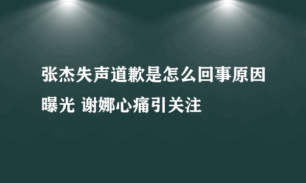 张杰失声道歉是怎么回事原因曝光 谢娜心痛引关注