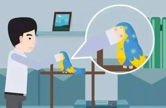 浙江女子围观宰鸭后被确诊鹦鹉热，鹦鹉热病是什么症状？