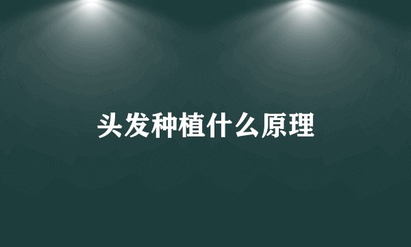 头发种植什么原理
