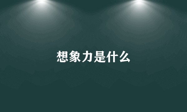 想象力是什么