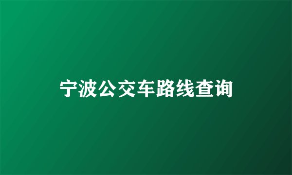 宁波公交车路线查询